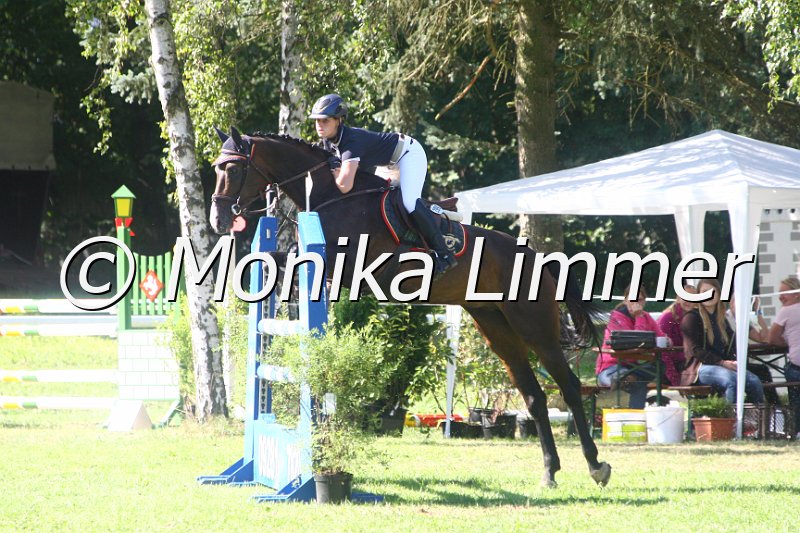 308M1286_Spring L.JPG